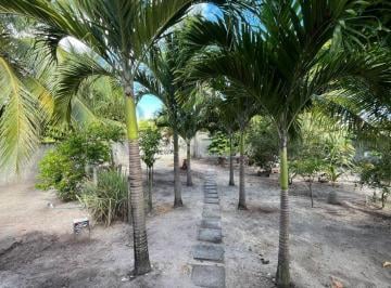 Casa de 2 quartos, Camaçari · Chácara com casa solta em Jauá - venda