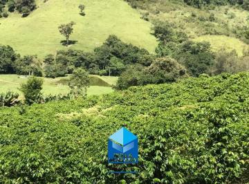 Rural · 72600m² · 2 Quartos · 4 Vagas · Sitio à Venda em Ibitiúra de Minas - MG 