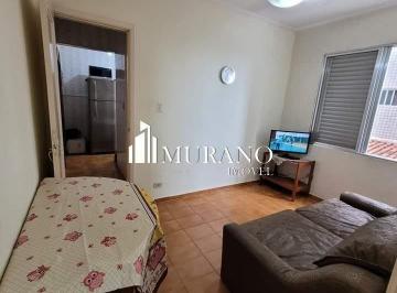 Apartamento · 31m² · 1 Quarto · 1 Vaga · Apartamento à venda, 1 quarto, 1 vaga, Mirim - Praia Grande/SP
