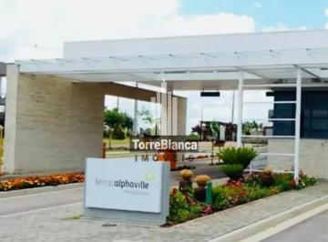 whatsapp-image-2026-05-13-at-5-48-53-pm1778705380634.jpeg · Terreno à venda, Jardim Carvalho, Ponta Grossa, PR