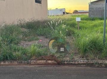 fd726b686385621b8784003634bfa5105eb8152b · Terreno à venda, 200 m² por R$ 145.000,00 - Jardim Europa - Barretos/SP