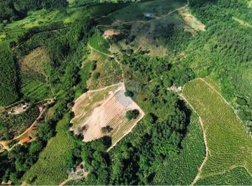Rural · 87725m² · 3 Quartos · SÍTIO 87725 M2 , 01 CASA DE CASEIRO COM SALA, COZINHA, BANHEIRO E ÁREA COM FOGÃO A LENHA E LAVANDERI