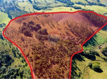 Rural · 91m² · 2 Quartos · Sítio produtivo de 20 hectares em Socorro – 35.000 pés de eucalipto gerando R$168 mil + área para pe