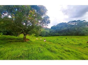 Comercial · 48400m² · IMÓVEL A VENDA   48400 METROS QUADRADOS NA ESTRADA MINICIPAL DO ORATORIO EM SOCORRO S.P. 10 VAGAS SO