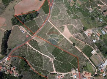 Rural · 480m² · 9 Quartos · 2 Vagas · Fazenda / Sítio para venda em Serra Negra de 480.00m² com 9 Quartos e 2 Garagens