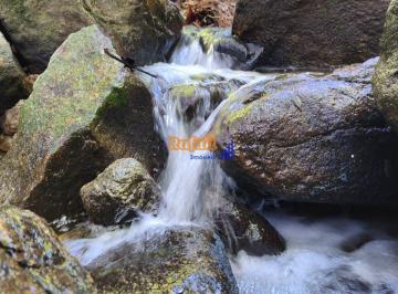 lxpn5tau41o5bajfjb5prsndwfhghjdtmlt7wiaxj42ytbingq0mdyxyzez_md · Terreno com rio à venda em Caldas da Imperatriz • Sto. Amaro da Imperatriz