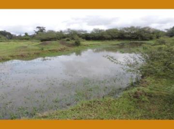 Terreno · UMA ÁREA DE TERRAS COM 27HA, NO LUGAR DENOMINADO PASSO DO SERINGA, DISTRITO DE FERREIRA, MUNICIPIO D