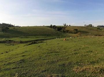 Rural · 76784m² · Sítio em Área Rural de Boituva, Boituva/SP