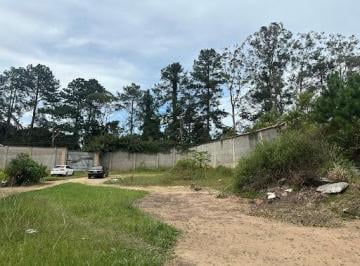 0e6d19b5ce9690562a3558554fe1a062e814e966 · Terreno à venda, 728 m² por R$ 300.000,00 - Colônia (Zona Sul) - São Paulo/SP