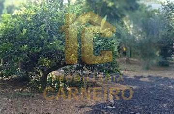Rural · 1980m² · 2 Quartos · Chácara à venda em Baratinha - Antônio Dias