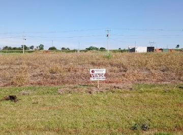 Terreno · 465m² · Terreno à venda, 465 m² por R$ 199.000,00 - Loteamento Florais - Maringá/PR