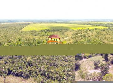 Imagem 1 · Fazenda