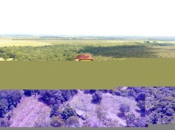 Imagem 1 · Fazenda