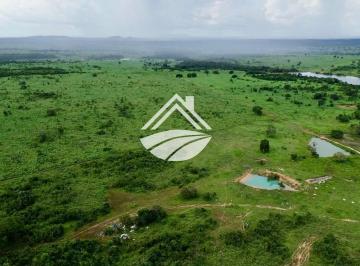 Imagem 1 · Fazenda