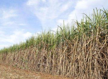 Imagem 1 · Fazenda