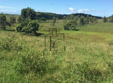 Imagem 1 · Fazenda