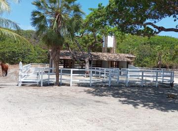 Rural · 60506m² · 2 Quartos · Fazenda à venda em Praia das Fontes, Beberibe