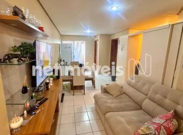 c45e9801-d3ba-4b52-9b0c-b97fec4d3ba8.webp · Residencial Costa Dourada - Apartamento - 1 Quarto - Varanda -  Areal