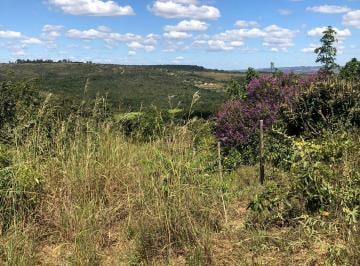 Rural , Ceilândia · SÍTIO LINDO COM ÁGUA PERENE EM CEILÂNDIA/DF.
