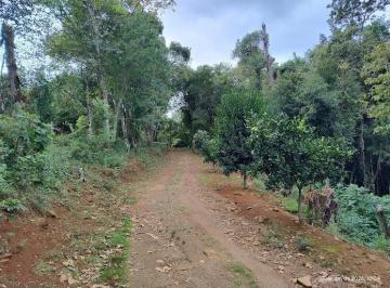 Foto 01 · Sitio, Rodeio Bonito, Três Coroas, RS