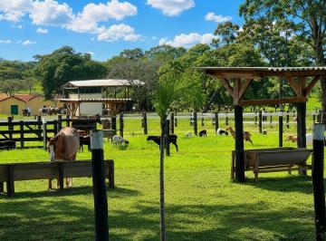 Rural · 363ha · 3 Quartos · 10 Vagas · Fazenda completa de 75 alqueires por R$ 16 milhões: oportunidade rara em Goiás