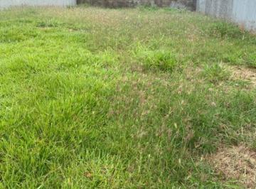 325c6aaab9ca0db814cca4e50e69bd12684c37e7 · Terreno à venda, 432 m² por R$ 925.000 - Parque Residencial Damha - São José do Rio Preto/SP