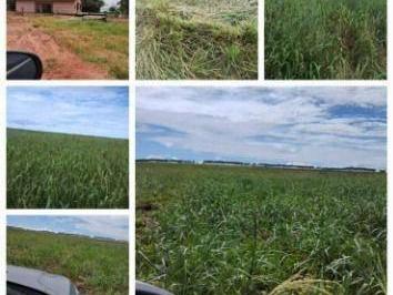 1e0be64cfc5970ac659fed8f5fe13bc6bf726a1e · Fazenda à venda, 22600000 m² por R$ 80.000.000 - Zona Rural - Sapezal/MT