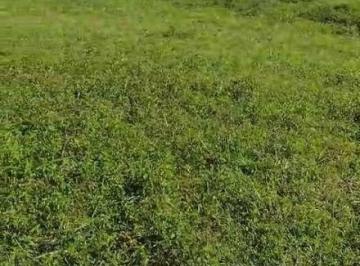 02b6e8e349a205fdf39eca4e886acb7f7260a4d2 · Vende-se 15 alqueires em União de Minas - MG / A 11 km da cidade e do asfalto
