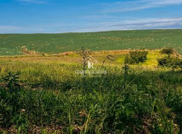 i1.jpg · Fazenda de 85,0 hás em Alfenas MG