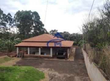 foto · Venda, Café Forte, Assaí, Paraná, Brasil