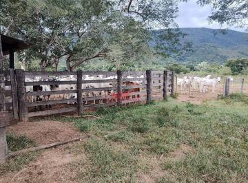 Mangueira completa e funcional, equipada com tronco de contenção e balança para manejo de gado. · Fazenda de Dupla Aptidão à Venda em Barra do Bugres - MT