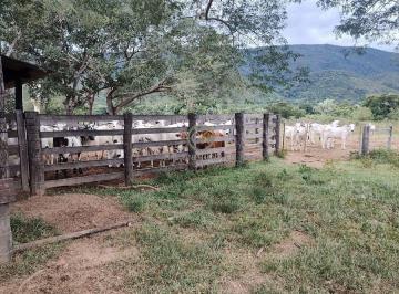 Mangueira completa e funcional, equipada com tronco de contenção e balança para manejo de gado. · Fazenda de Dupla Aptidão à Venda em Barra do Bugres - MT