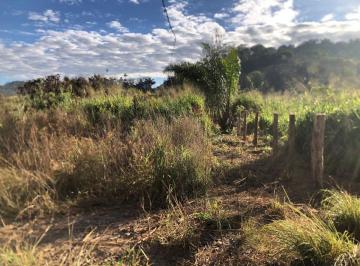 Rural , Moju · Fazenda Dupla aptidão no Pará, Moju