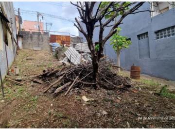 Terreno · 326m² · Terreno a venda com 326m² Chácara Belenzinho