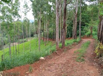 sitio-a-venda-em-dom-vicoso-chacara-571011105.jpeg · Terreno  de 2 alqueires  á venda em Dom Viçoso, MG