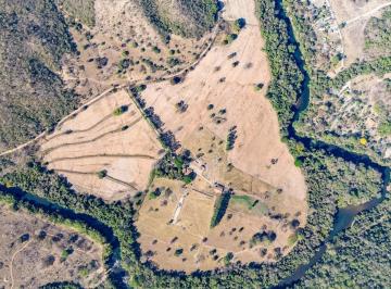 Rural · 114ha · 7 Quartos · 10 Vagas · Fazenda com 113 hectares à venda em Heitoraí a 140 km de Goiânia por R$ 3.500.00