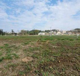 2d7a5d596f86a4c7a3d7a0221cdd96fb0bc30f95 · Terreno à venda, 200 m² por R$ 310.000 - Botujuru - Mogi das Cruzes/SP