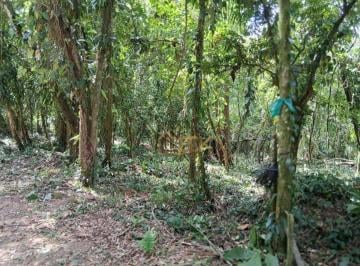 15d882626e98106e10fda0ab8877b9c98816c990 · Terreno documentado à venda, 1840 m² por R$ 195.000 - Horto Florestal (Pé de Serra) - Ubatuba/SP