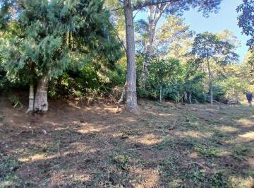 pugc1pa2owziytu2mtg1nzqx_md · TERRENO COM 214.396,00M²