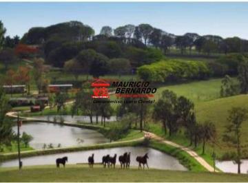 Imagem 1 · Fazenda