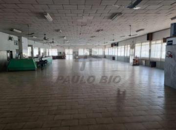 Comercial · 15170m² · Comercial à venda - em Batistini