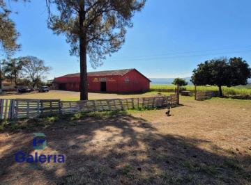 img0 · Fazenda para alugar, 20.000m² - São Simão-SP