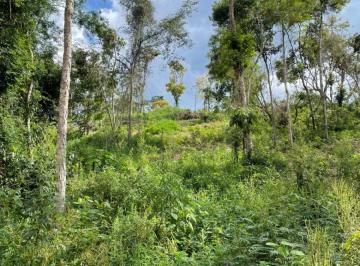 Terreno , Mairinque · Terreno 1.000m² em Mairinque Natureza e Qualidade de Vida