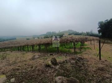 Foto 01 · Chácara para venda em Flores da cunha , localidade de sete de setembro