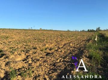 Terreno , Araçoiaba da Serra · Compre seu terreno 1000m² em Capanema hoje mesmo