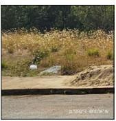 Photo_0 · 
                Oportunidade Única em IACANGA - SP | Tipo: Terreno | Negociação: Venda Direta Onlin