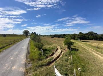 Rural , Porto Amazonas · Chácara com fácil acesso, 32.000 m² e com bosque em Porto Amazonas - Cód. 05.014