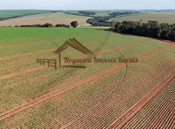 Rural , Paranapanema · Fazenda à venda com 87 alqueires na região de Paranapanema-SP