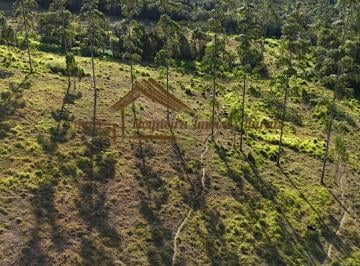 Rural , Guareí · Sítio à venda com 5 alqueires em Guareí-SP