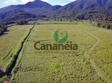 Foto 01 · Fazenda 109 alqueires (Búfalos + Banana) para Venda em Cananéia-SP: Oportunidade única!